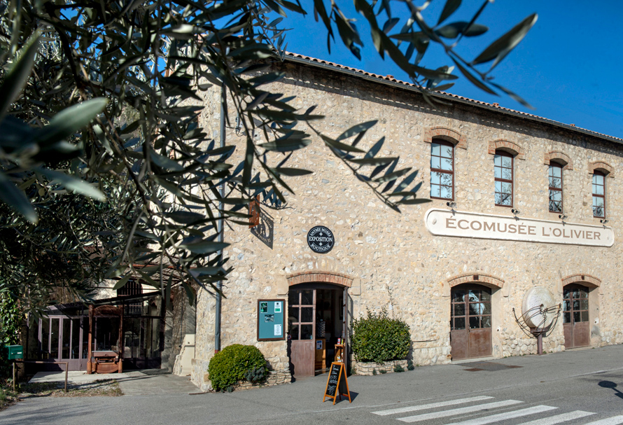 ÉCOMUSÉE L’OLIVIER À VOLX. Une célébration de la culture de l’olivier en Provence 
