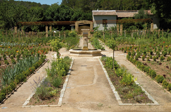 chateau_berne_potager.jpg