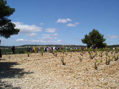 rasteau_escapade_gourmets.jpg