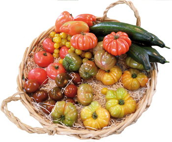 tomates_concombres.jpg