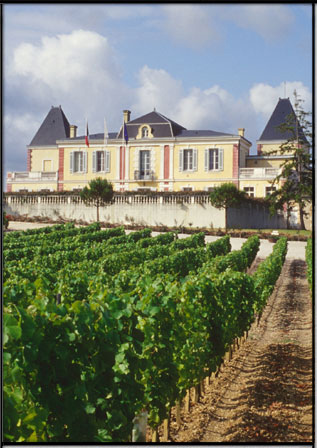 chateau_de_france.jpg