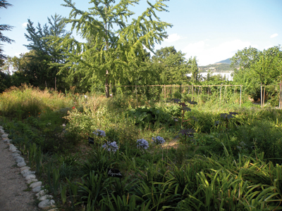 la_bonne_etape_jardin_potager.jpg
