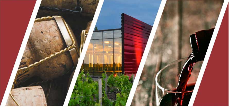 Assises nationales de l’œnotourisme. 20 actions et mesures en faveur du développement  