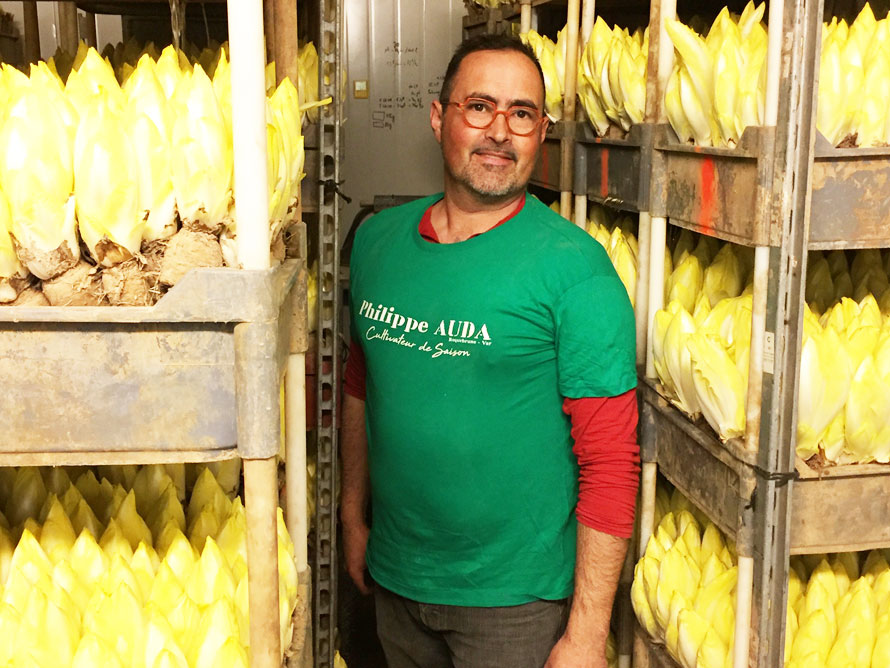 Au marché des garrigues à Roquebrune-sur-Argens. Les belles blondes de Philippe Auda