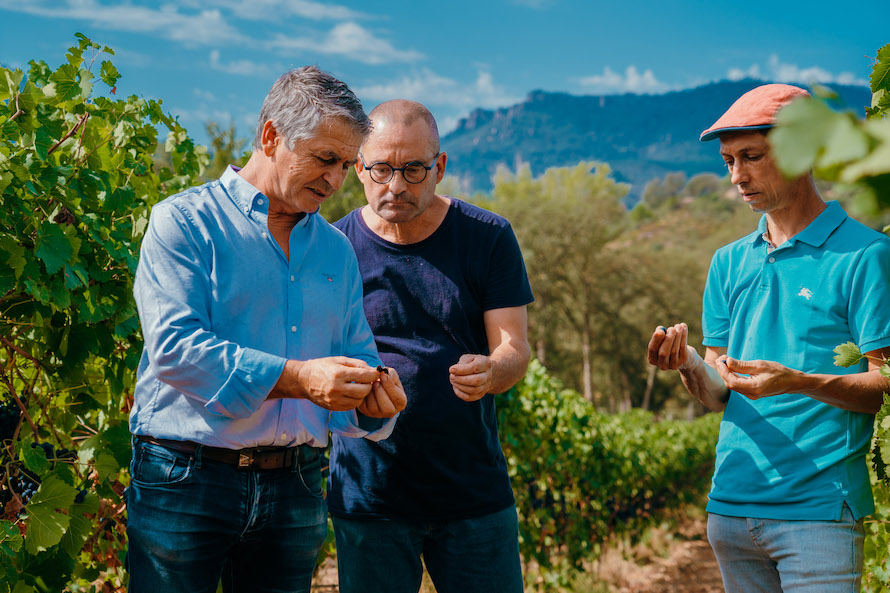 Domaine de Barbossi à Mandelieu-la-Napoule. Un trio d’experts