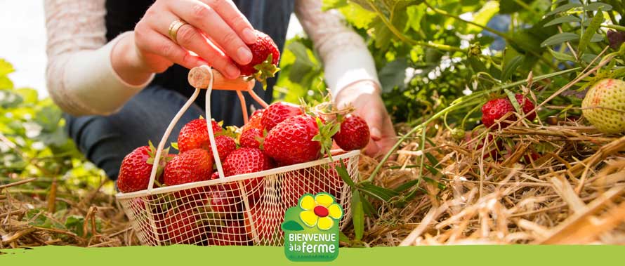 Bienvenue à la ferme. C'est le printemps !