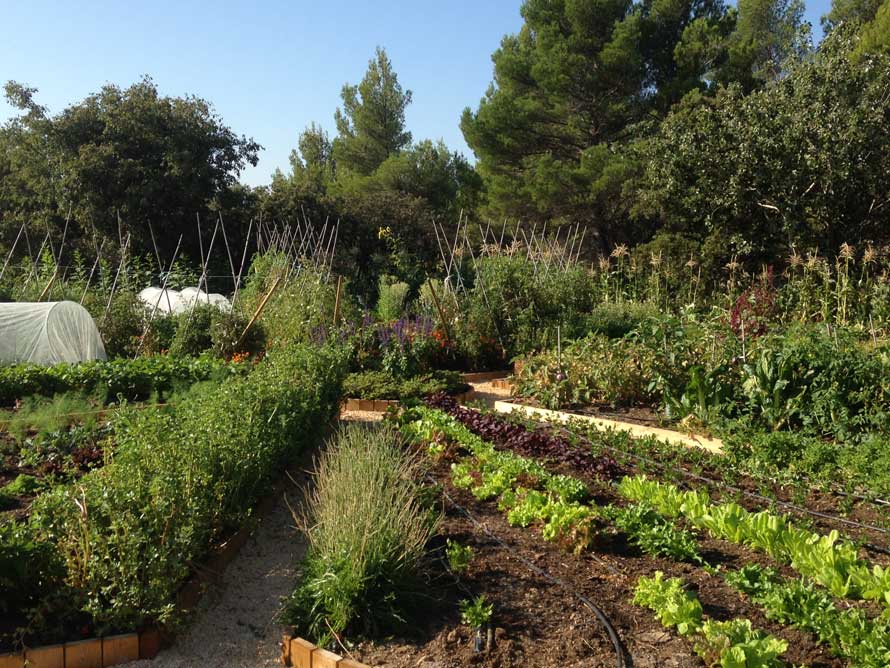 BVC expertise. Les produits du jardin et de la ferme au restaurant