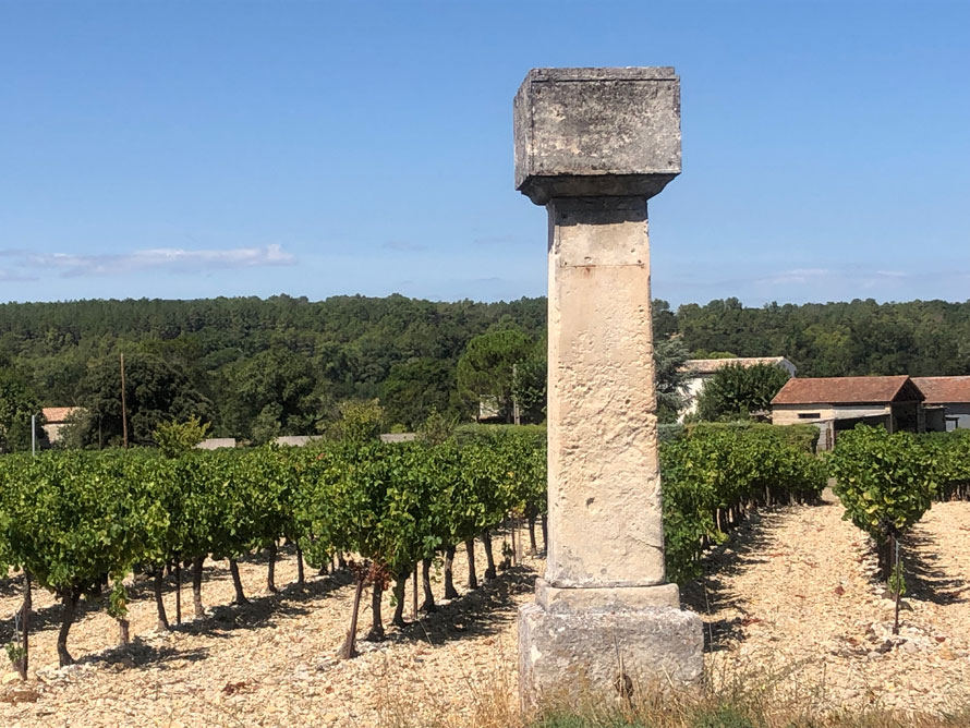 Domaine de Chante Bise à Suze-la-Rousse. Valérie Rousselle investit dans les Côtes-du-Rhône