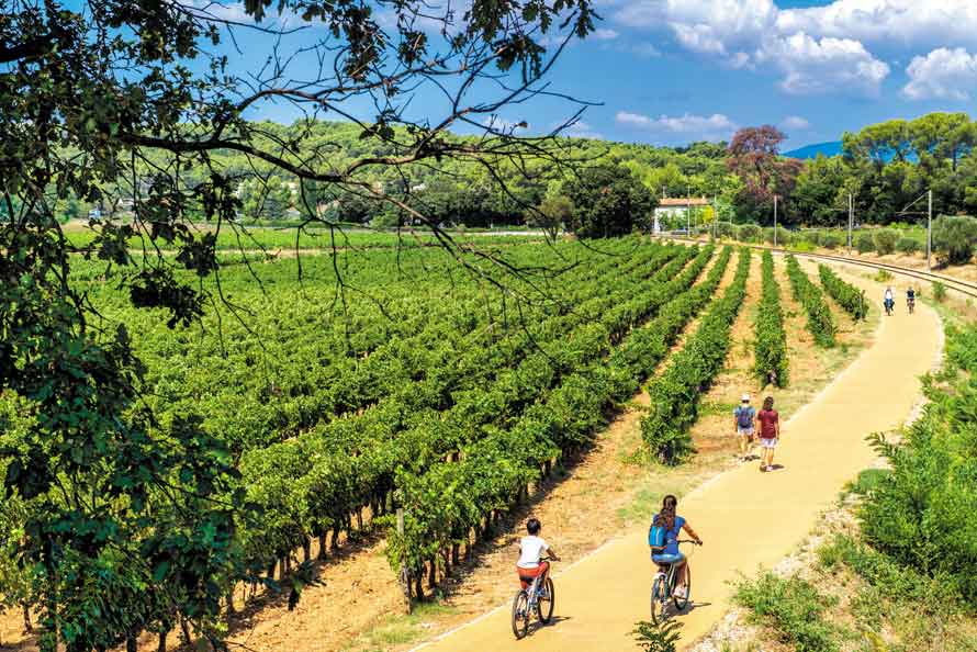 Vignoble des Vins de Provence. Une référence de l’œnotourisme en France