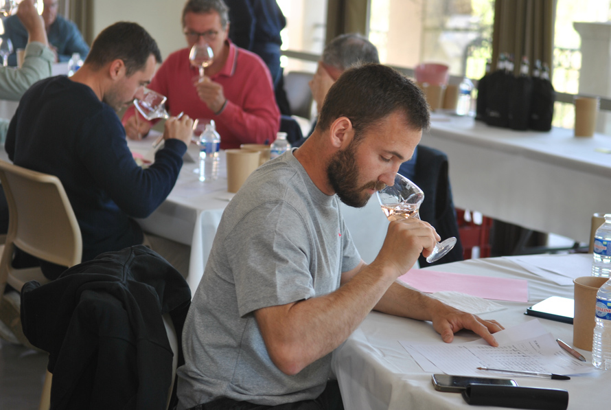 Concours des Vins de Provence. 193 vins médaillés pour leur savoir-faire