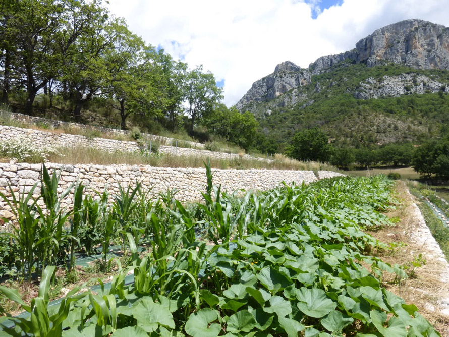 Parc du Verdon à Moustiers-Sainte-Marie. Journée portes ouvertes au domaine de Valx