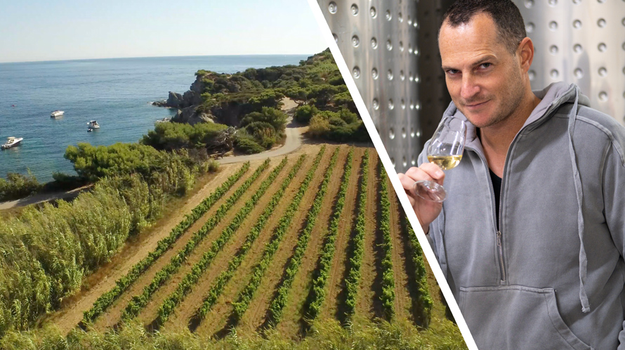 Domaine viticole de l’Île des Embiez. Pierre Pardini, nouveau responsable viticole et vinicole