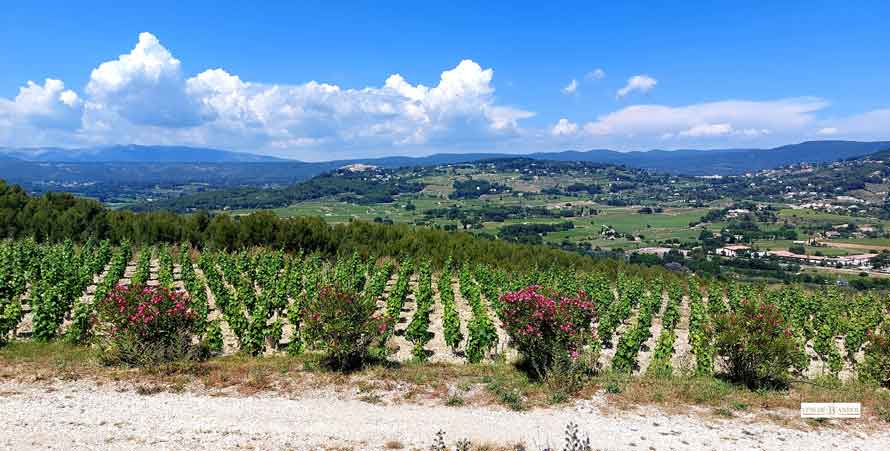 Le fascinant week-end. Vignobles & découvertes