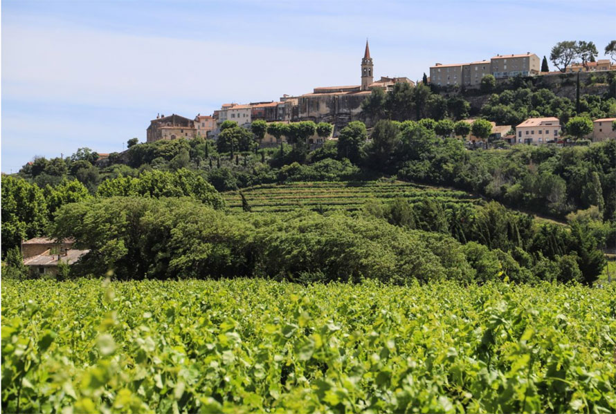 Œnotourisme. Fascinant week-end se déroule dans toute la France et notamment en Provence