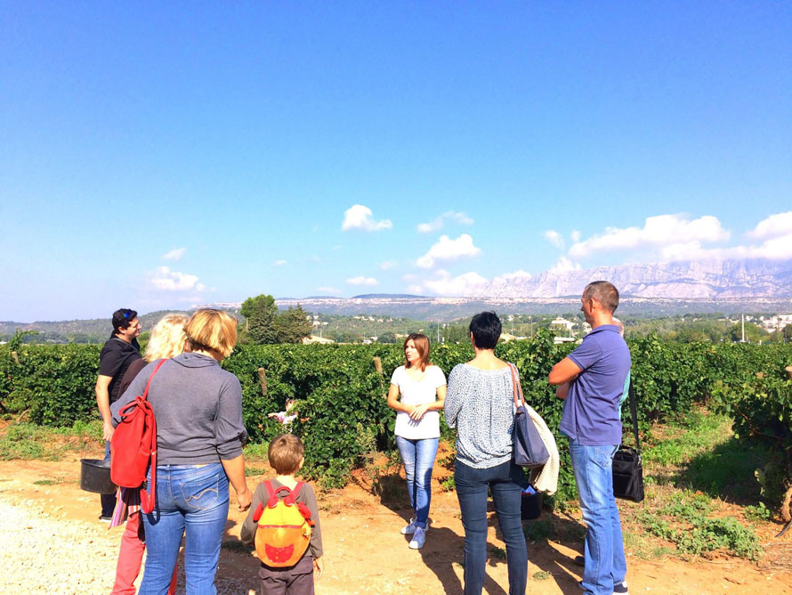 Fédération des Vignerons indépendants Provence 13. Itinéraires œnotouristiques des Bouches-du-Rhône