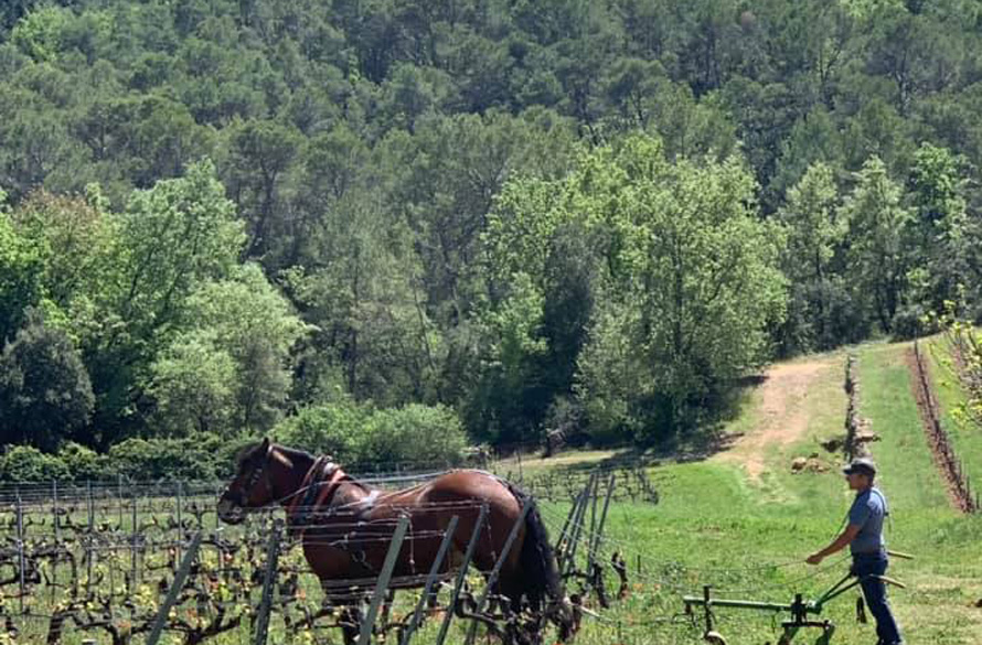 Domaine de Gavaisson à Lorgues. Journée champêtre