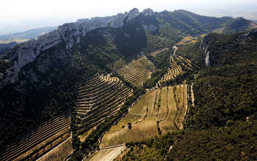 AOC Gigondas. L’appellation désormais en blanc