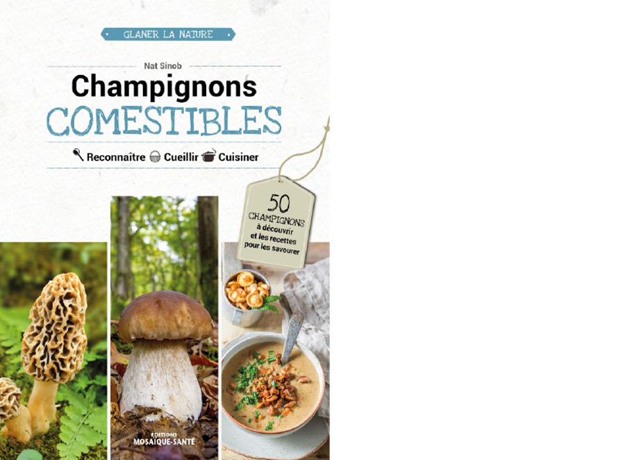 Éditions Mosaïque-santé. Champignons comestibles. Reconnaître. Cueillir. Cuisiner