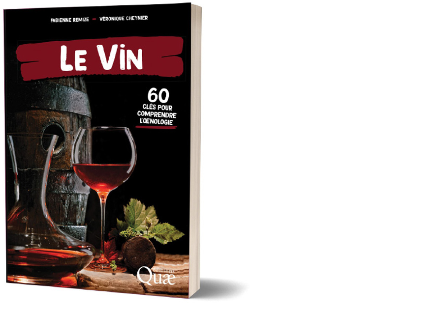 ÉDITIONS QUAE. Le vin. 60 clés pour comprendre l’œnologie