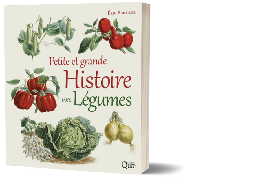 ÉDITIONS QUÆ. Petite et grande histoire des légumes