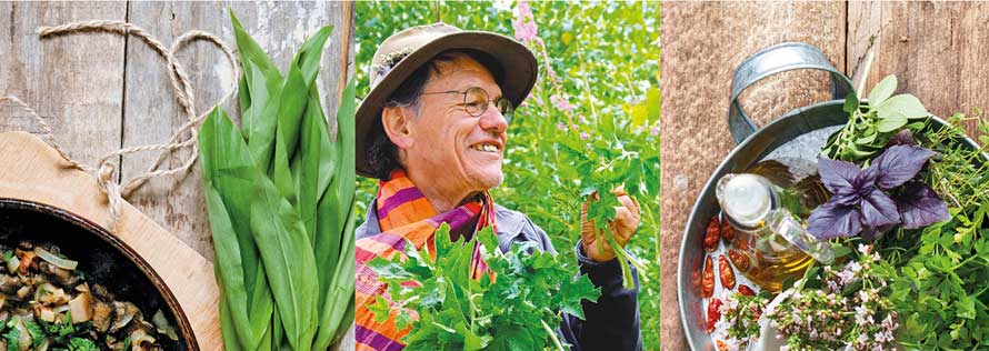 Larousse. Plantes sauvages comestibles. Cueillir la nature parmi les prés et les bois