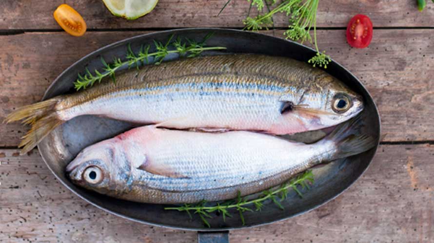 Éditions Terre vivante. 100 recettes éco-responsables poissons et autres produits de la mer