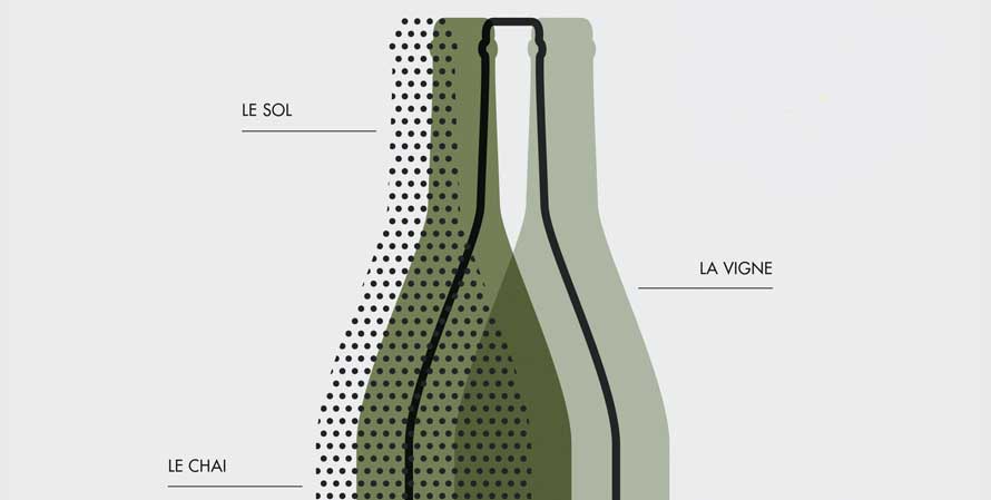 Éditions Homo Habilis. Le grand précis des vins au naturel 