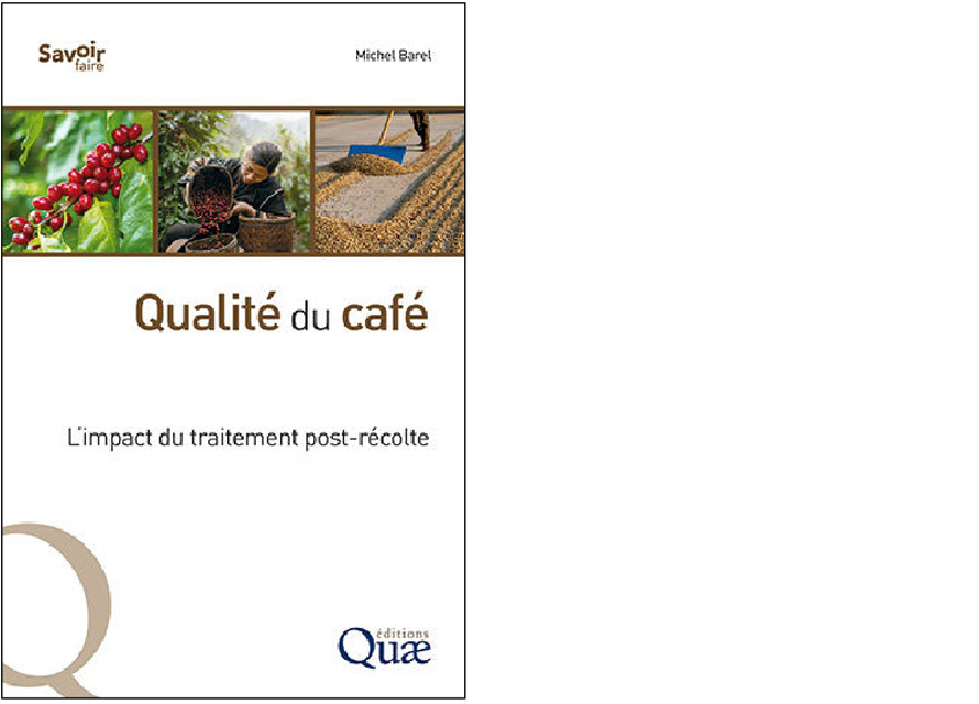 Éditions Quae. Qualité du café. L'impact du traitement post-récolte