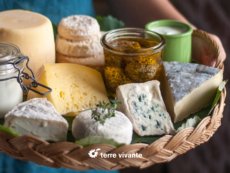 Éditions Terre vivante. Réussir ses fromages à la maison