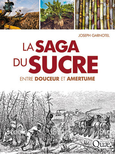 Editions Quae. La saga du sucre. Entre douceur et amertume