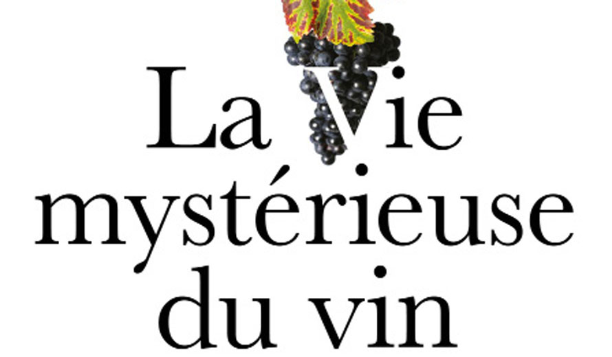 Cherche midi. La vie mystérieuse du vin