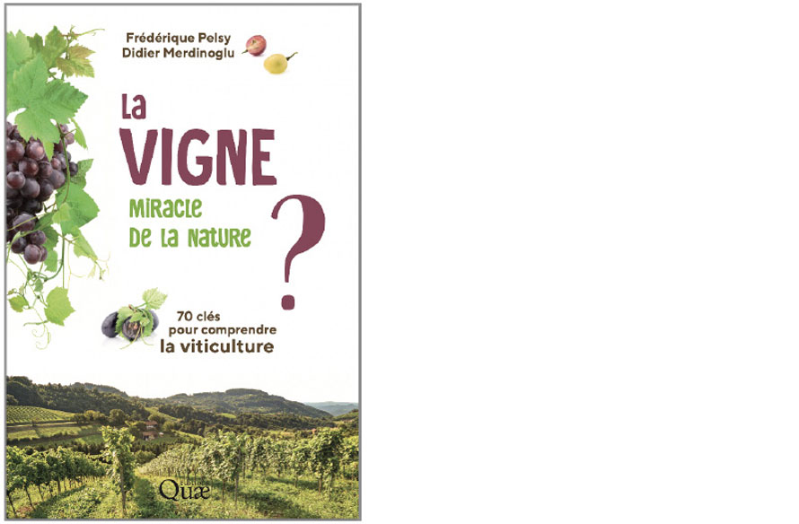 Éditions Quæ. La vigne, miracle de la nature ?