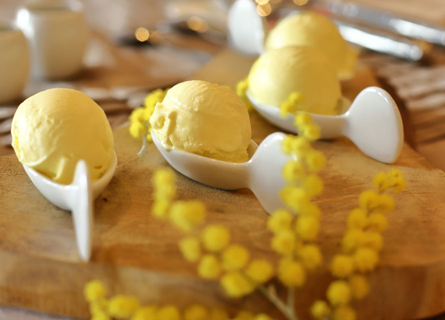 Louise à Mandelieu-La Napoule. Découvrez la saveur mimosa !