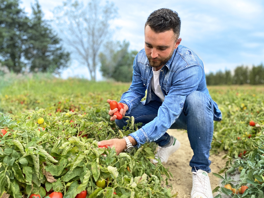 Pizza Cosy. Engagement auprès de Louis Martin, producteur provençal de tomates fraîches