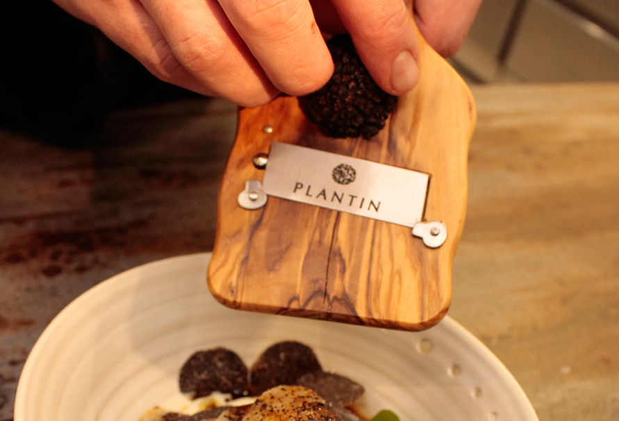 Plantin. Ça rime avec Saint Valentin !