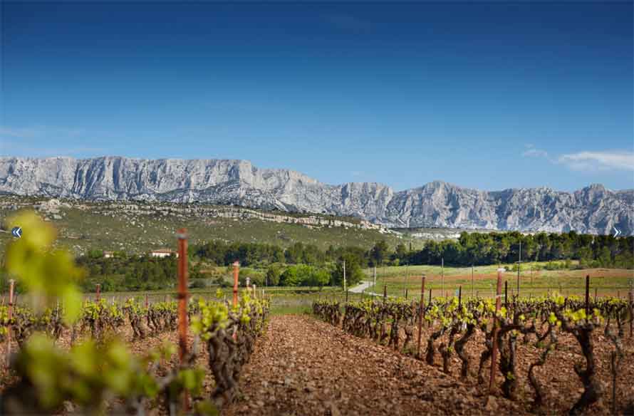 Vins de la Sainte-Victoire. Rallye découverte