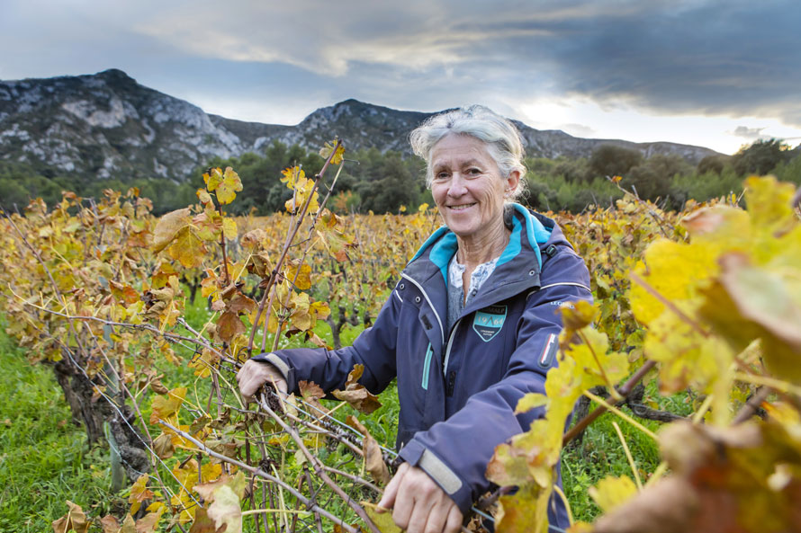 Grands prix de La revue du vin de France 2020. Deux lauréats dans notre région