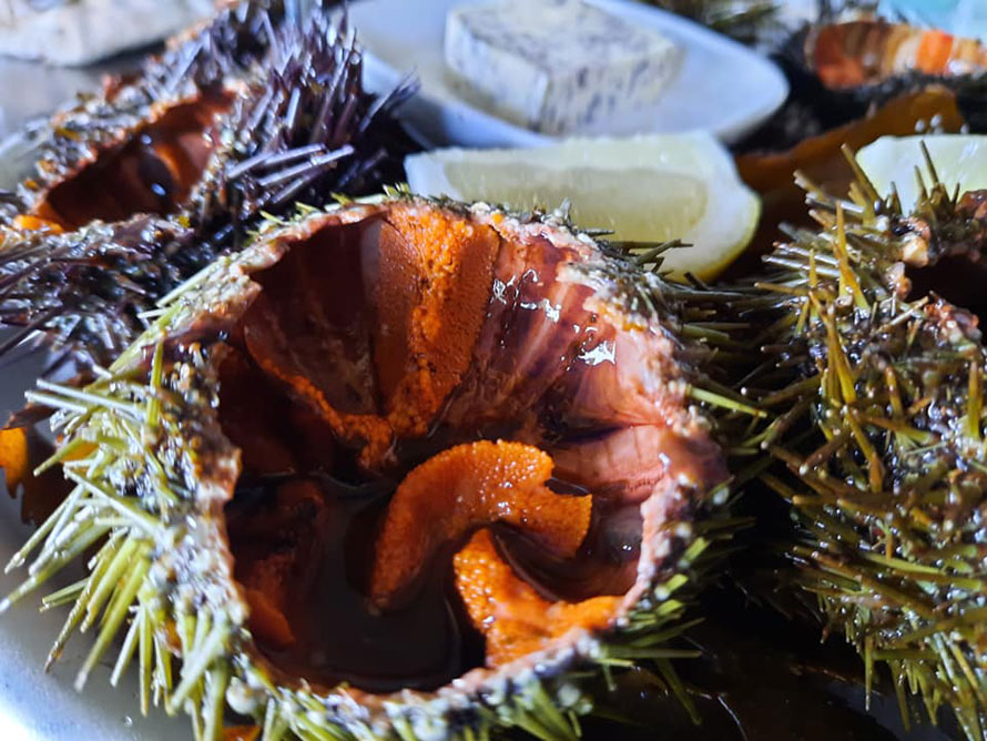 Restaurant Les saveurs salines à Mandelieu-La Napoule. Produits de la mer