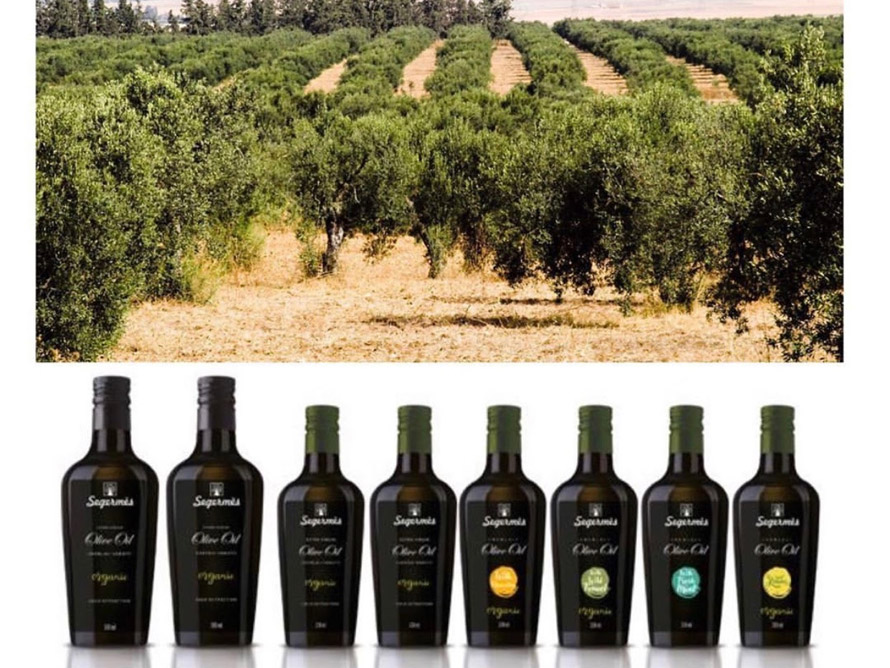 Huiles d'olive Segermès. Une gamme d'exception