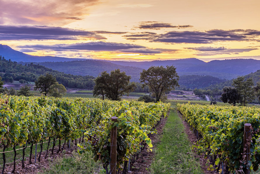 Terre de vins. Trophées de l'œnotourisme 2020