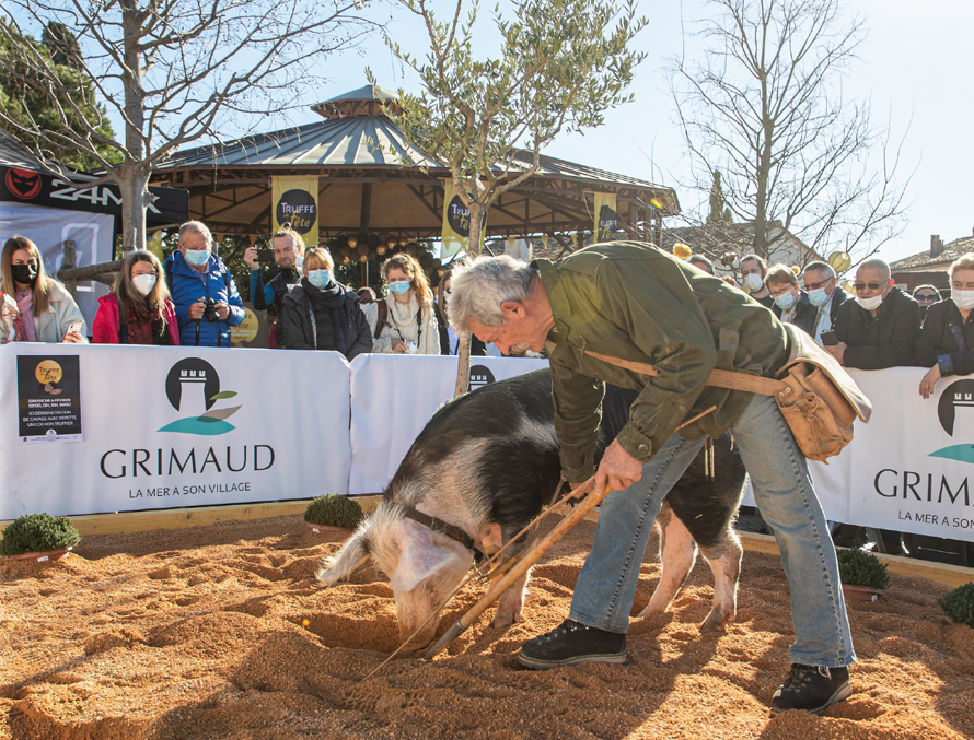 Truffe en fête à Grimaud. 11e édition du marché gastronomique