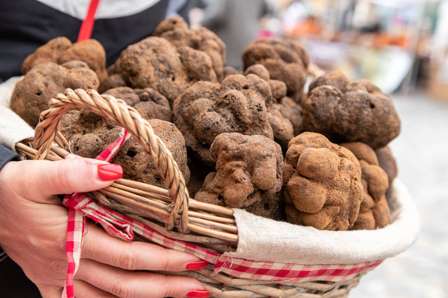 Grimaud. Truffe en fête