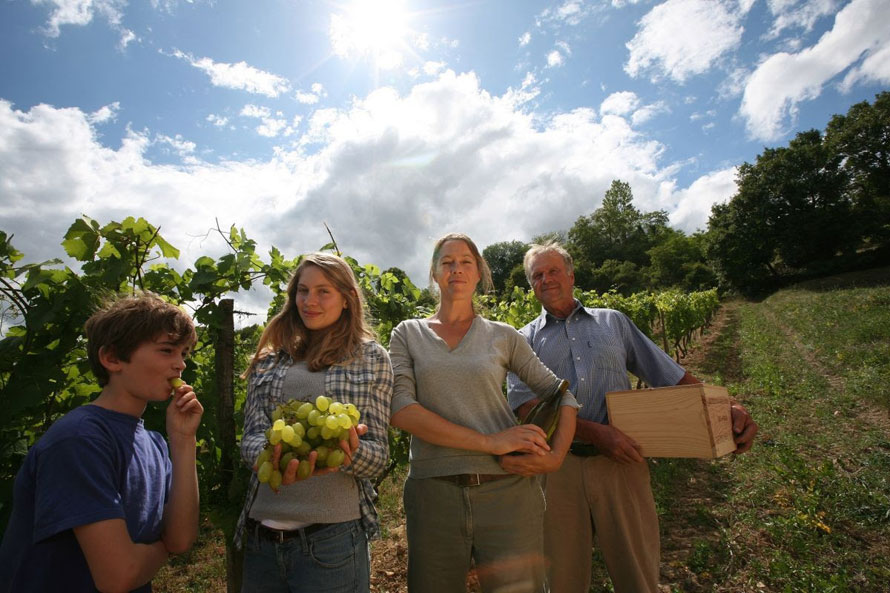 Vignerons indépendants. Devenez vendangeur pour une journée