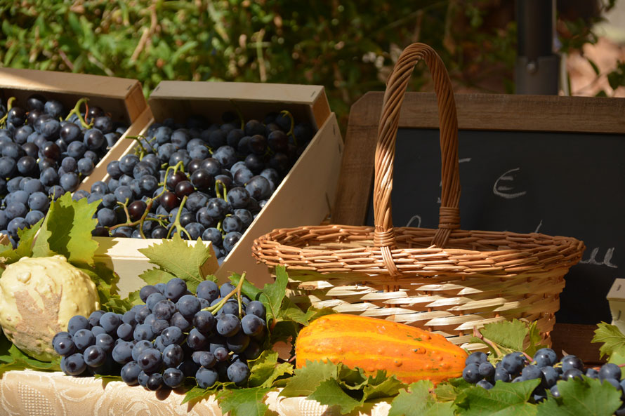 Festival Ventoux saveurs. Itinérance gourmande entre saveurs et senteurs