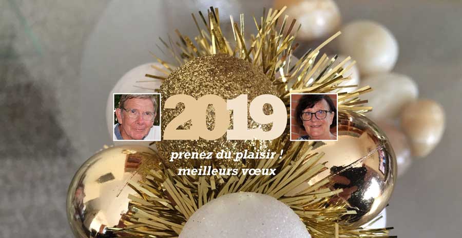 Bonne année 2019 !